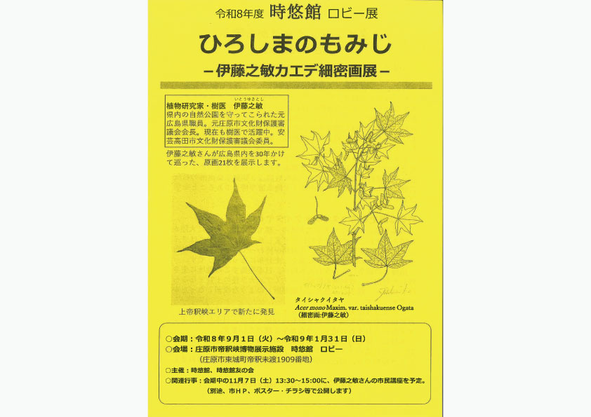 時悠館ロビー展 ひろしまのもみじ-伊藤之敏カエデ細密画展-