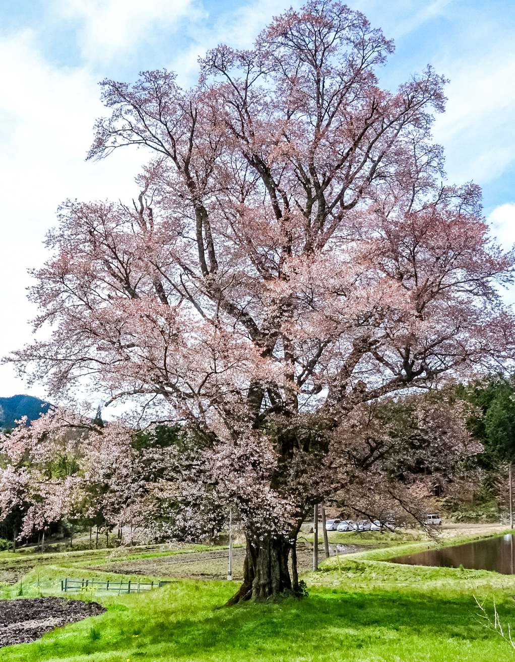 Il y a un “Japon” à Shobara.