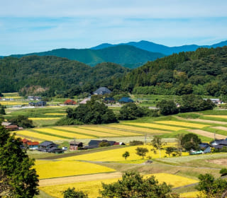 三河内の棚田