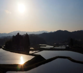 春の三河内の棚田