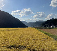 庄原の風景