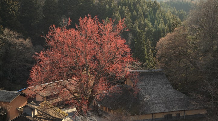 菅谷たたら山内生活伝承館