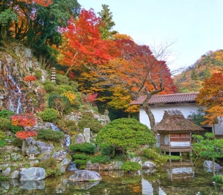 「岩浪の滝」の庭園