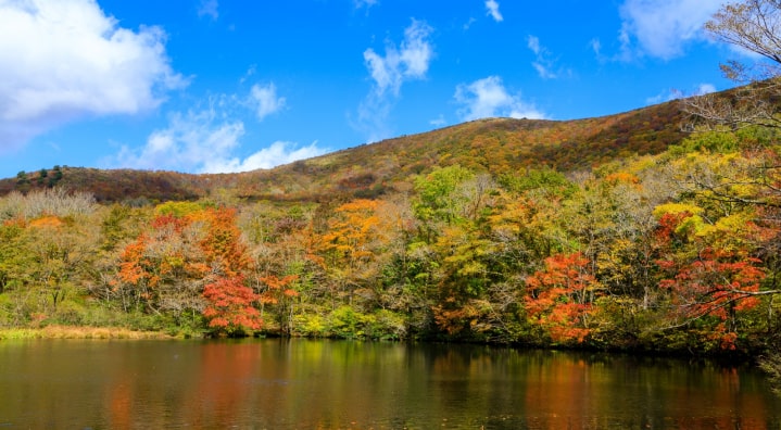 吾妻山