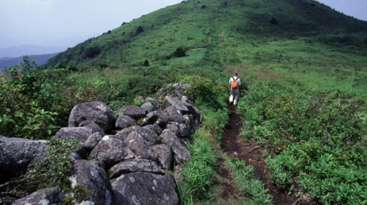 道後山