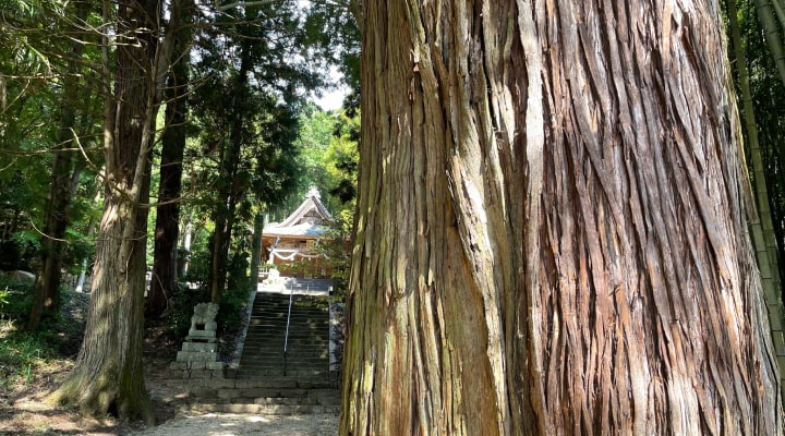 蘇羅比古神社