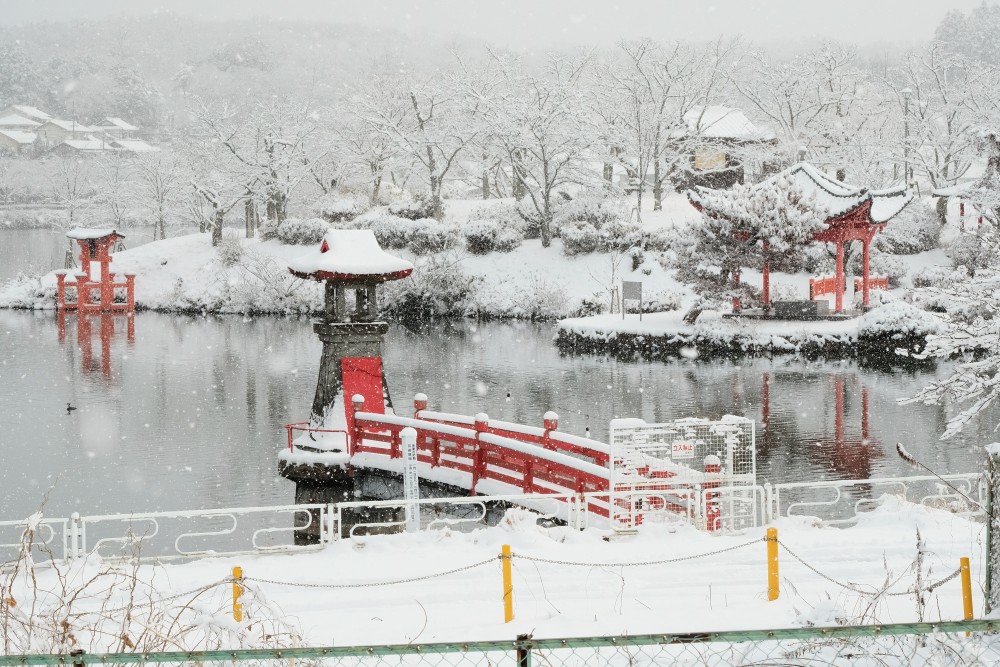 庄原　上野公園　冬