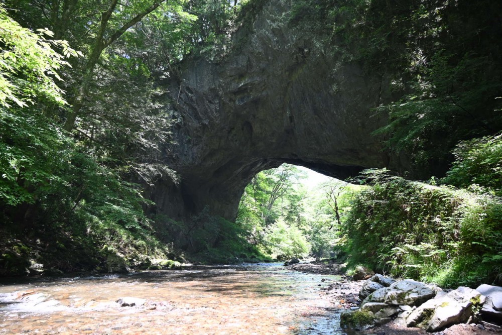雄橋