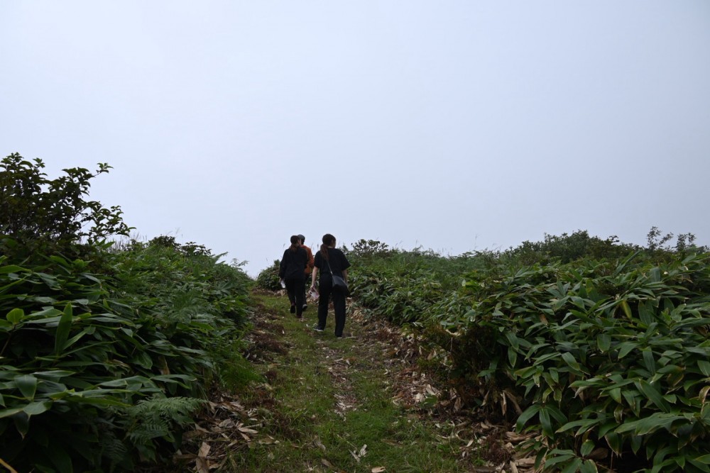 竜王山山頂