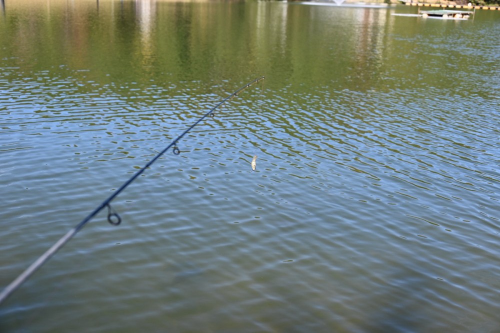 広島　県北　釣り