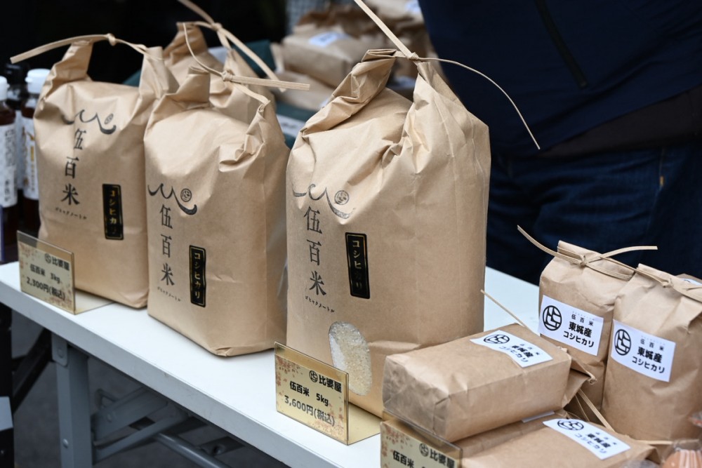 庄原　コシヒカリ