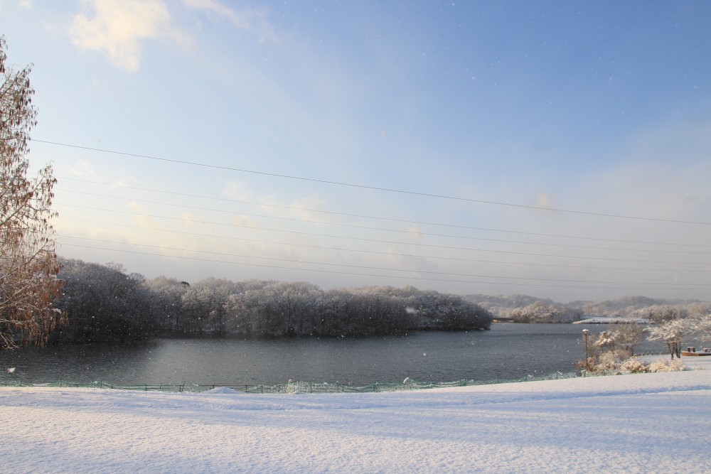 備北丘陵公園　冬