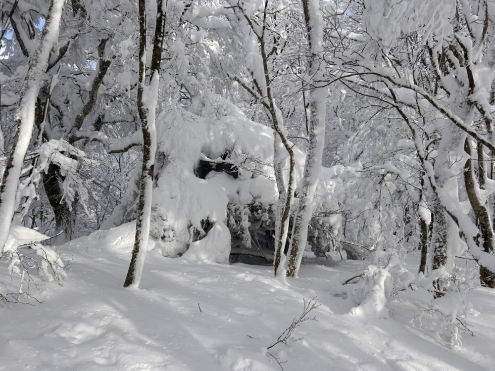 スノーシュー おすすめコース