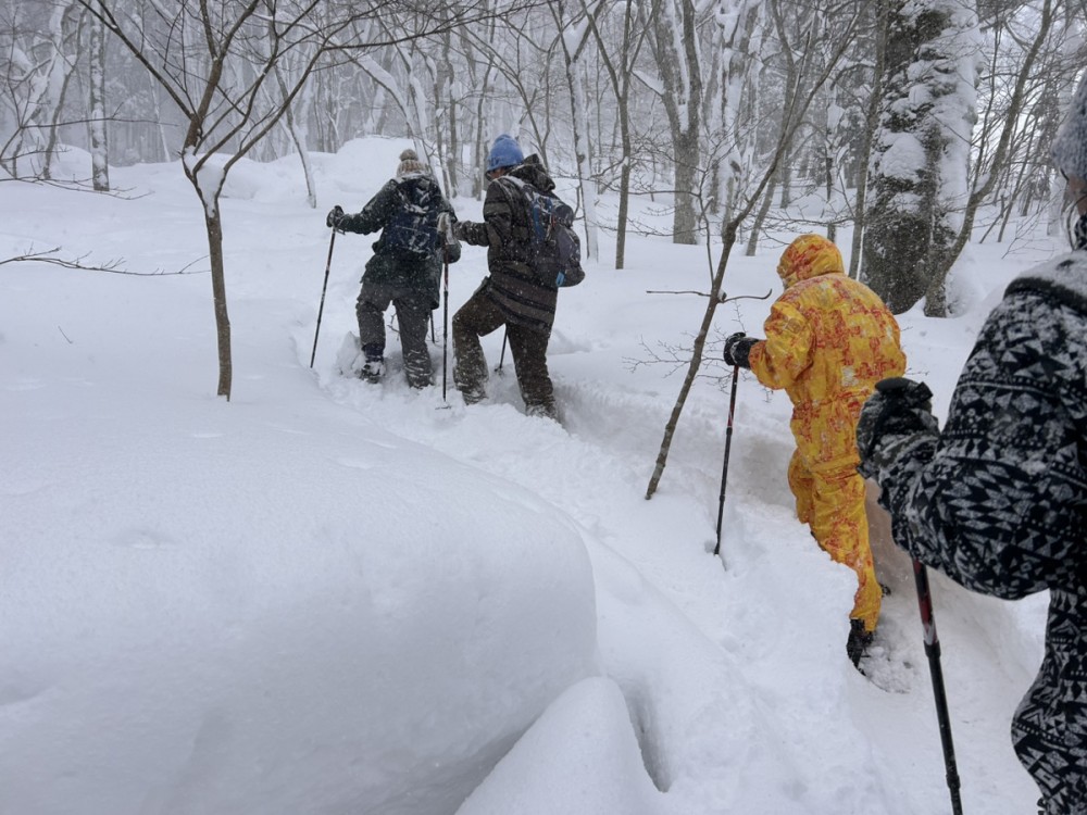 広島 スキー場 雪遊び