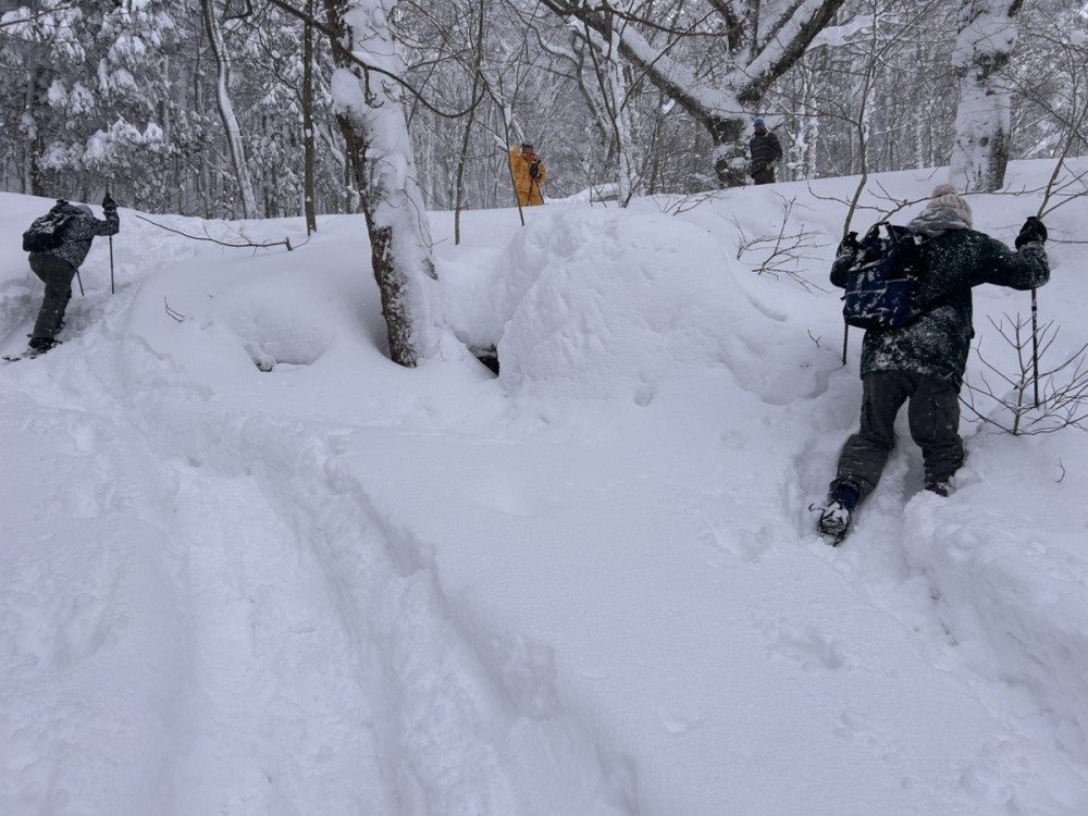 スノーシューハイク 初心者
