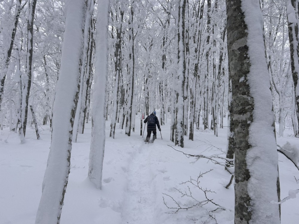 スノーシュー 登山コース