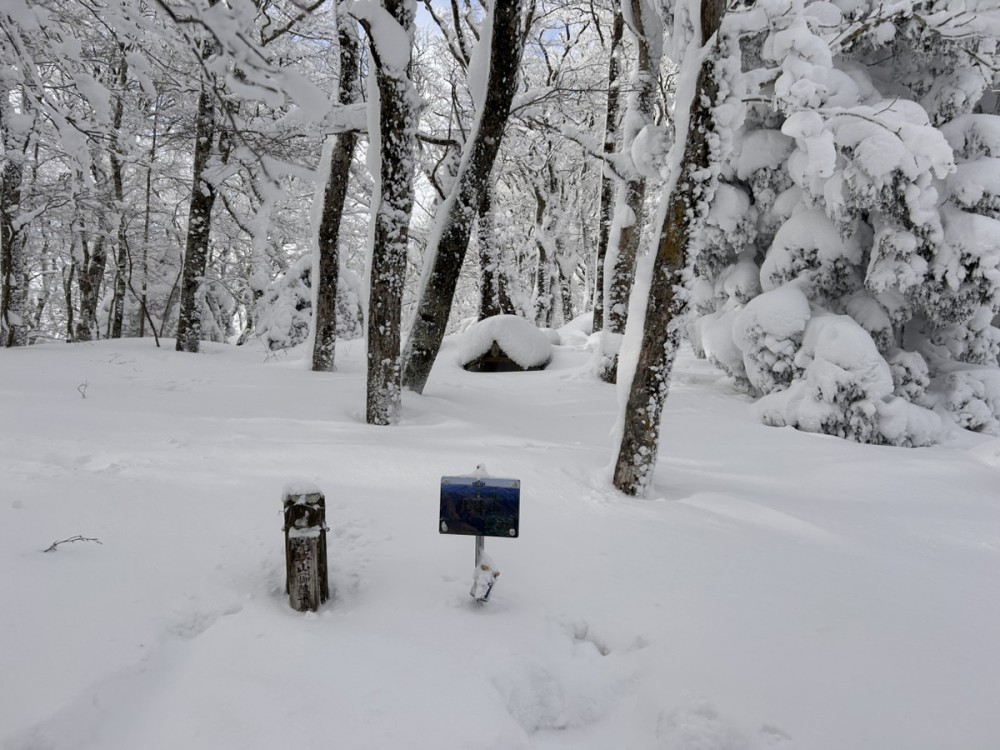 スノーシュー 登山 おすすめ