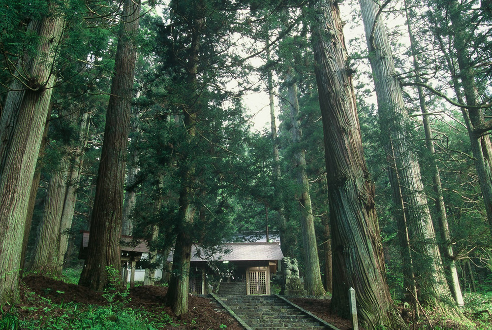 熊野神社