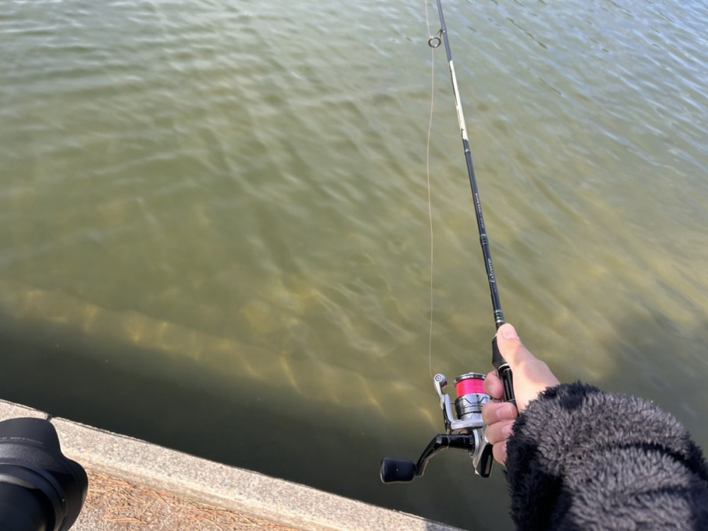 広島　県北　釣り